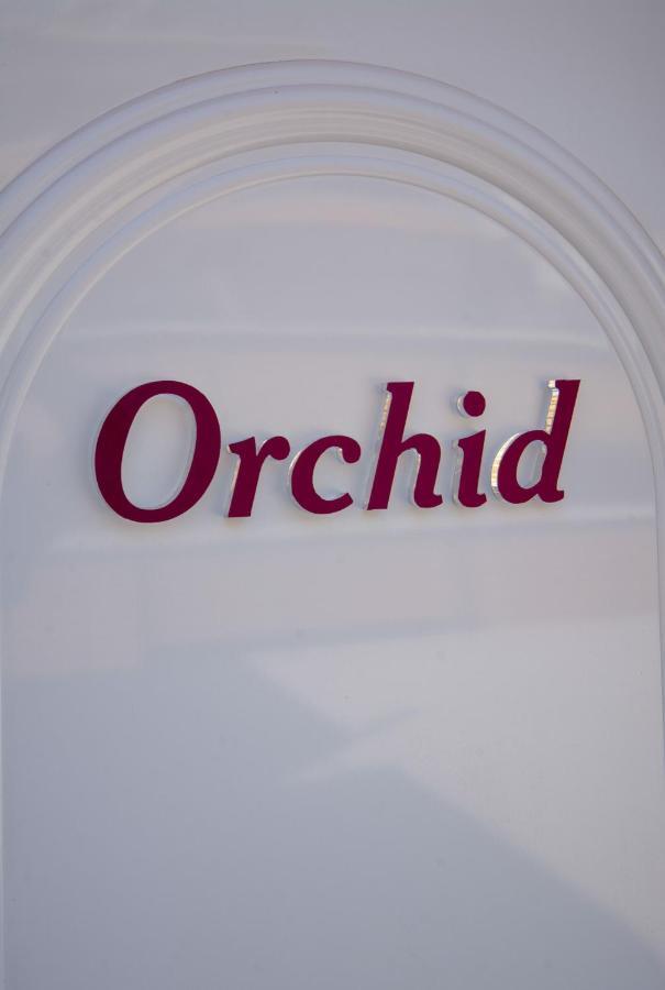 Appartement Orchid Athens Over Rooftop Studio Extérieur photo